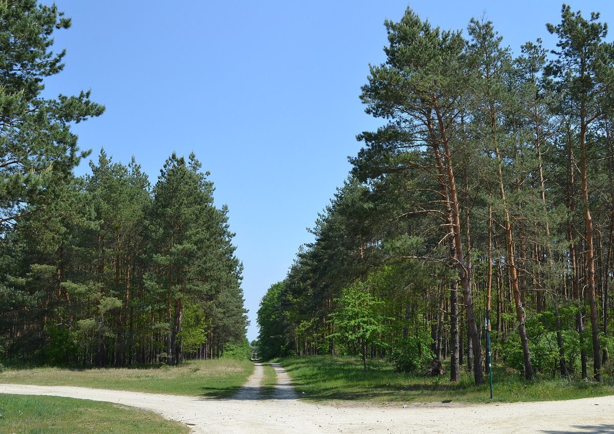 Boří les — lichtenštejnský lovecký revír, dnes přírodní park s řadou řopíků v podrostu. Foto: RomanM82 / Wikimedia (CC BY-SA 4.0)