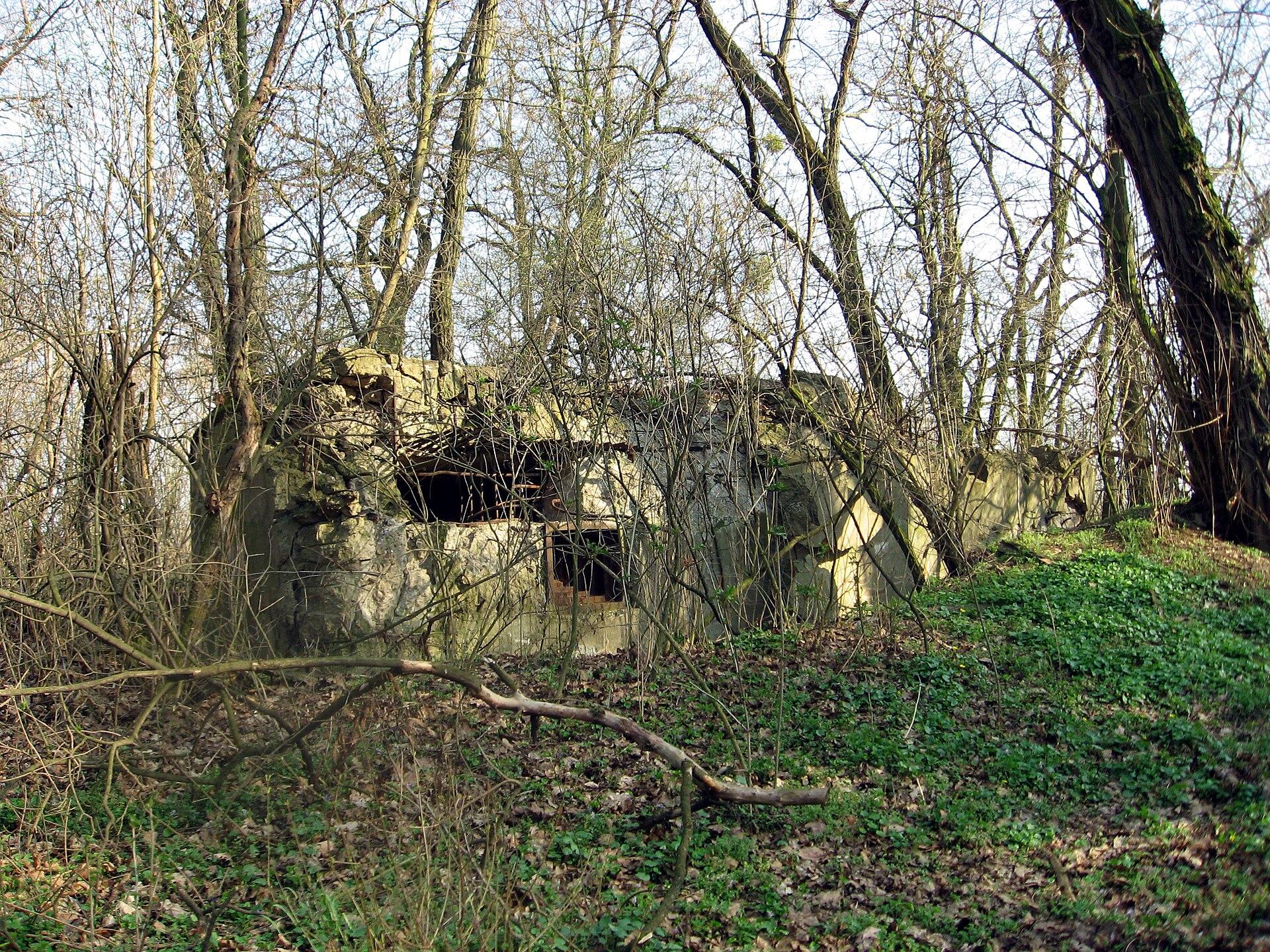 Řopík u Lednických rybníků — stejná A-180 v jiném zasazení. Foto: RomanM82 / Wikimedia (CC BY-SA 4.0)