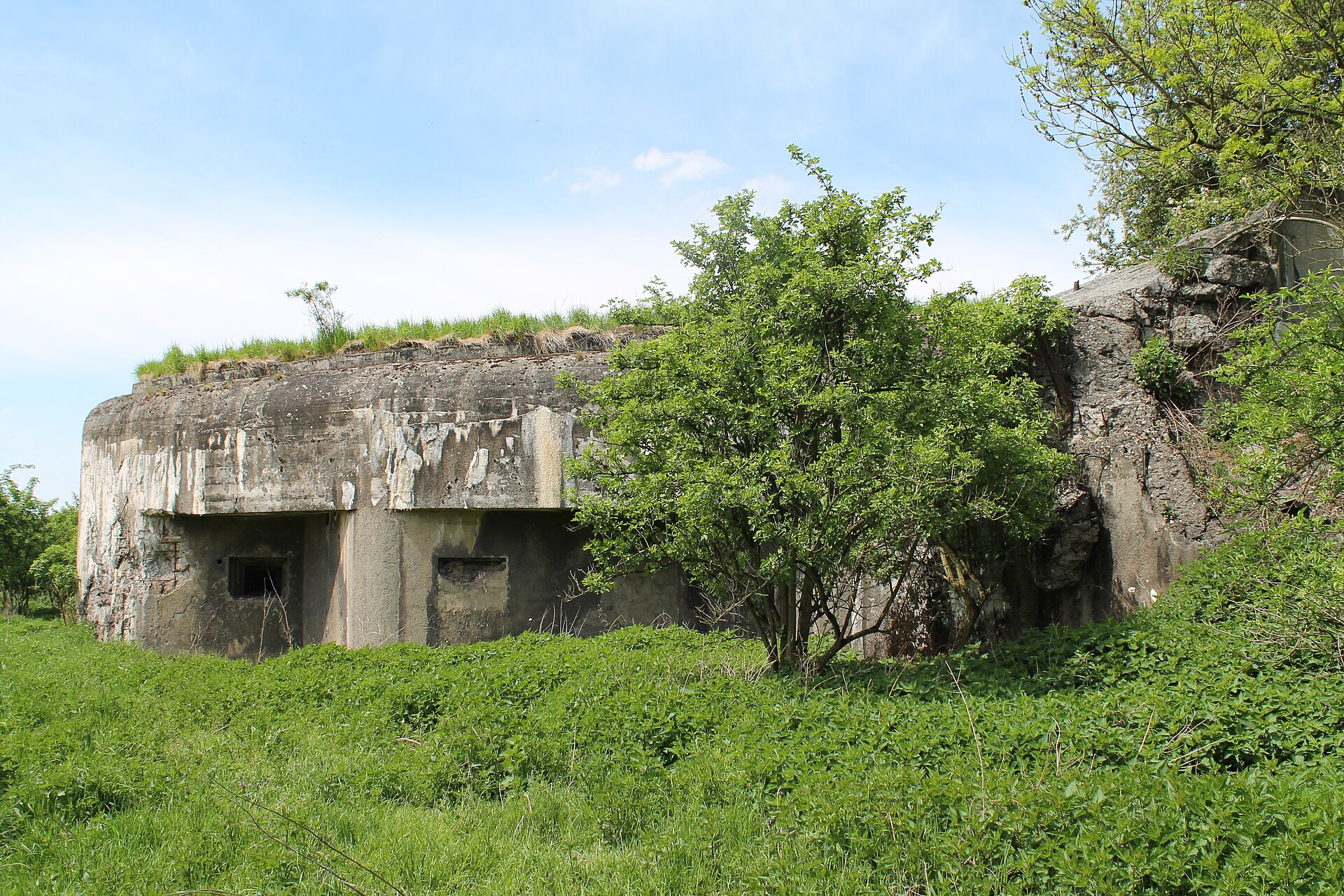 MO-S 8 Paseky u Šilheřovic