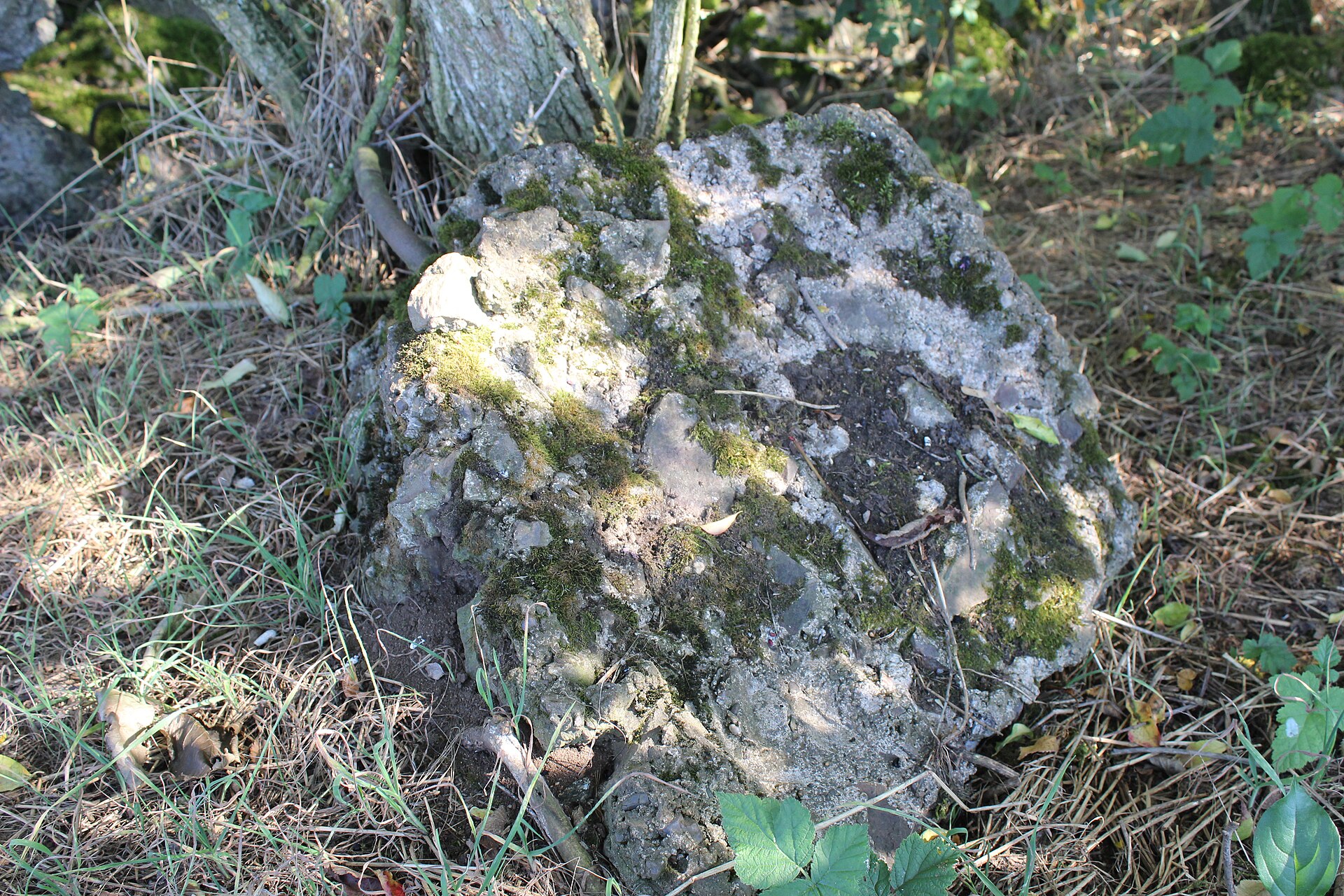 Řopík 6/3/A-140 Z (Mikulovsko) — 6/3/A-140 Z