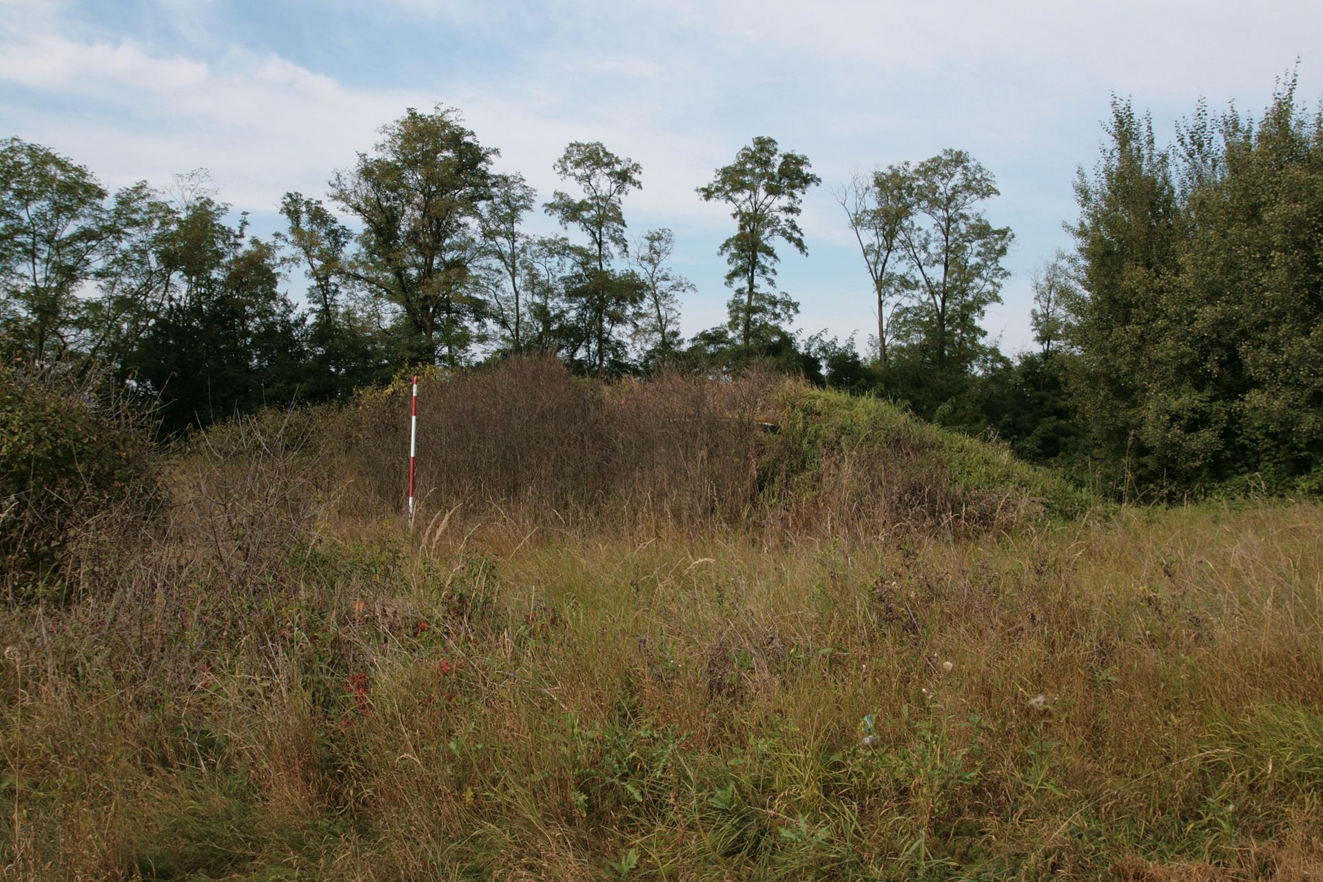 Řopík u Hevlína u přejezdu