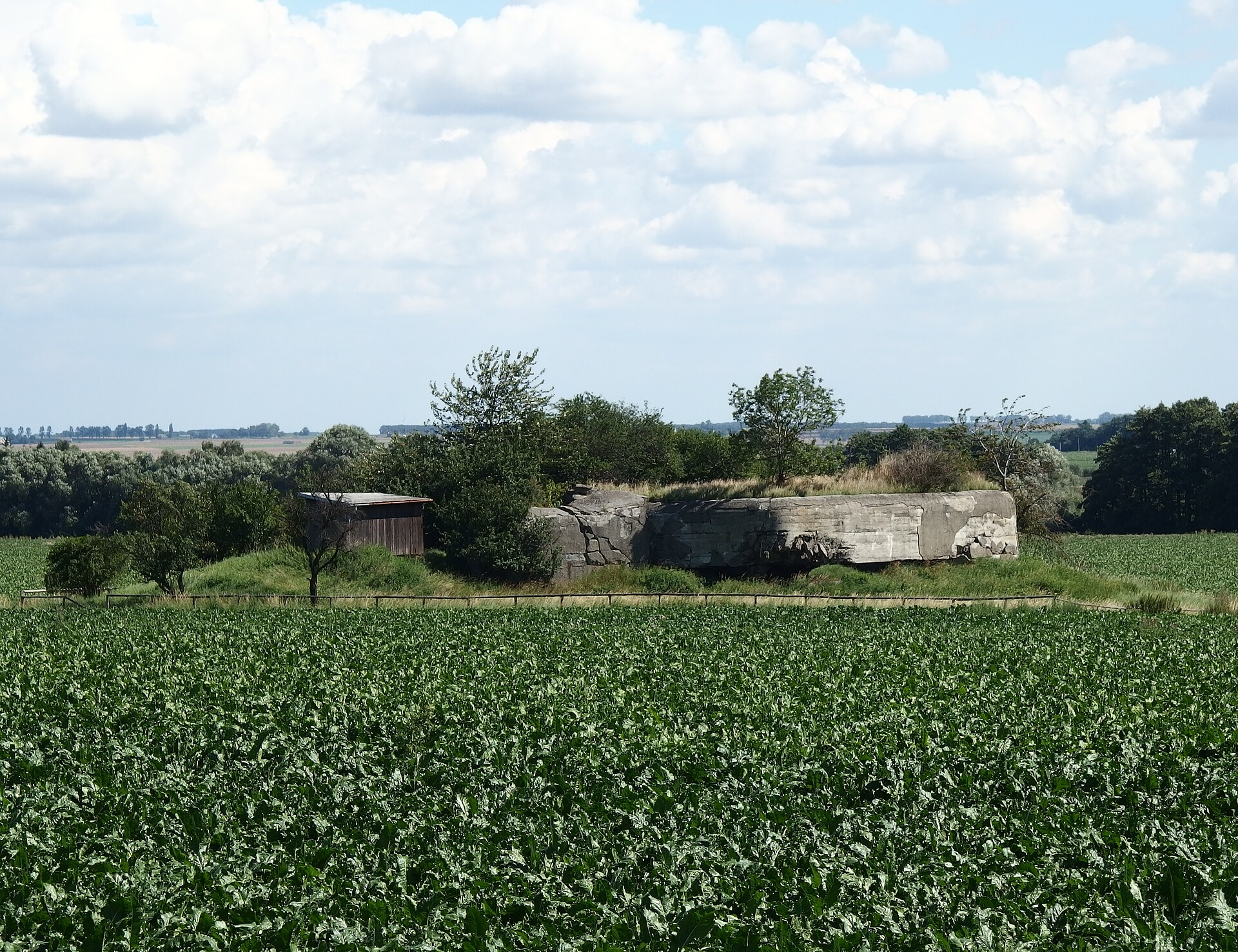 OP-S 29 U kudlu — pěchotní srub