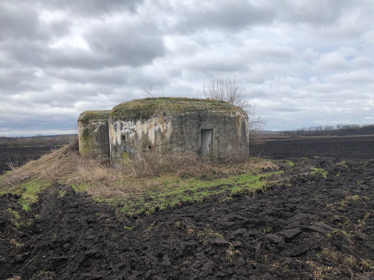 Řopík 6/17/A-140 Z uprostřed zoraného pole — pohled ze strany, viditelná boční střílna a vstupní otvor, mechem porostlá střecha