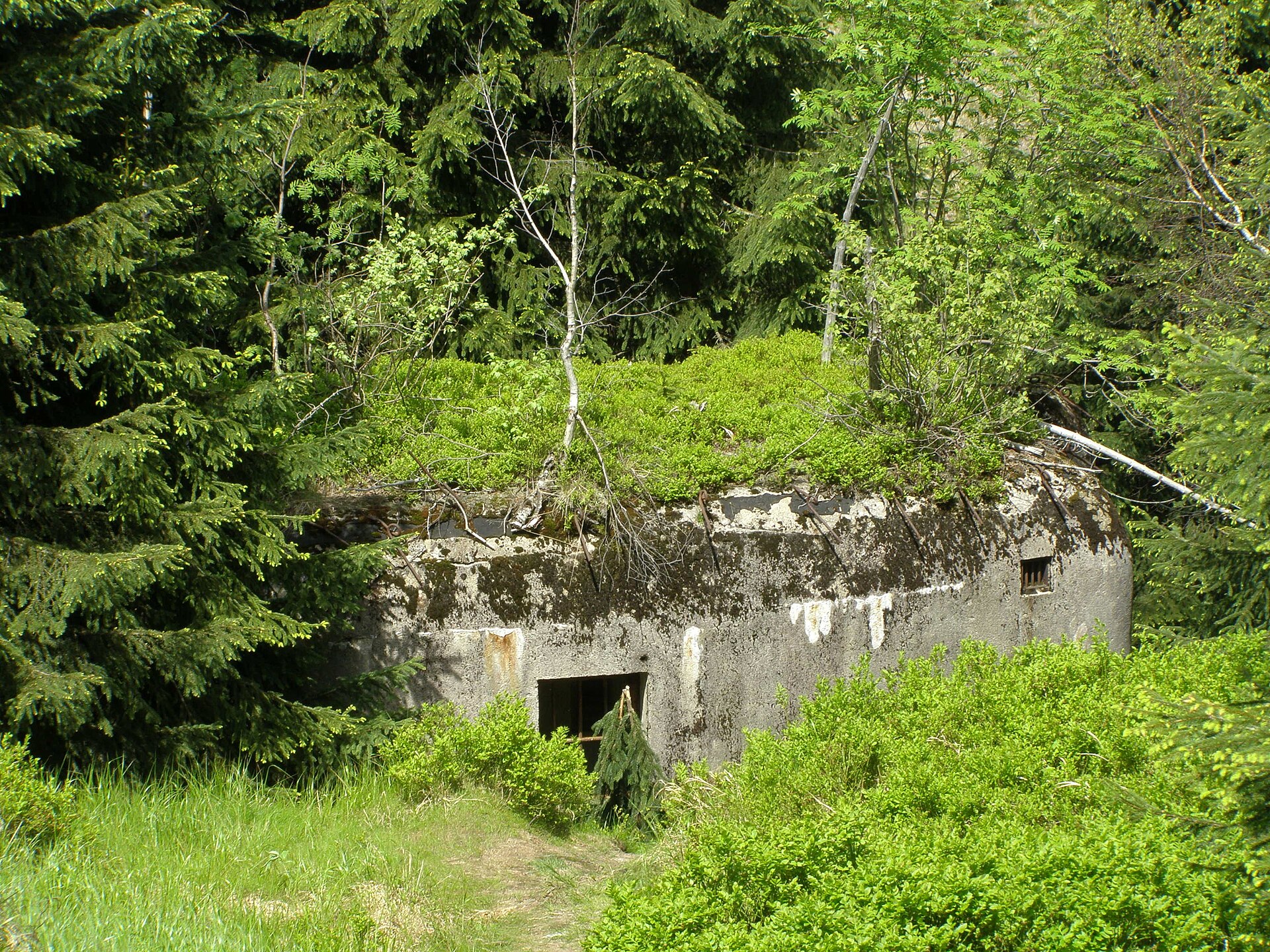 Bunkr v Jizerských horách nad Smědavou