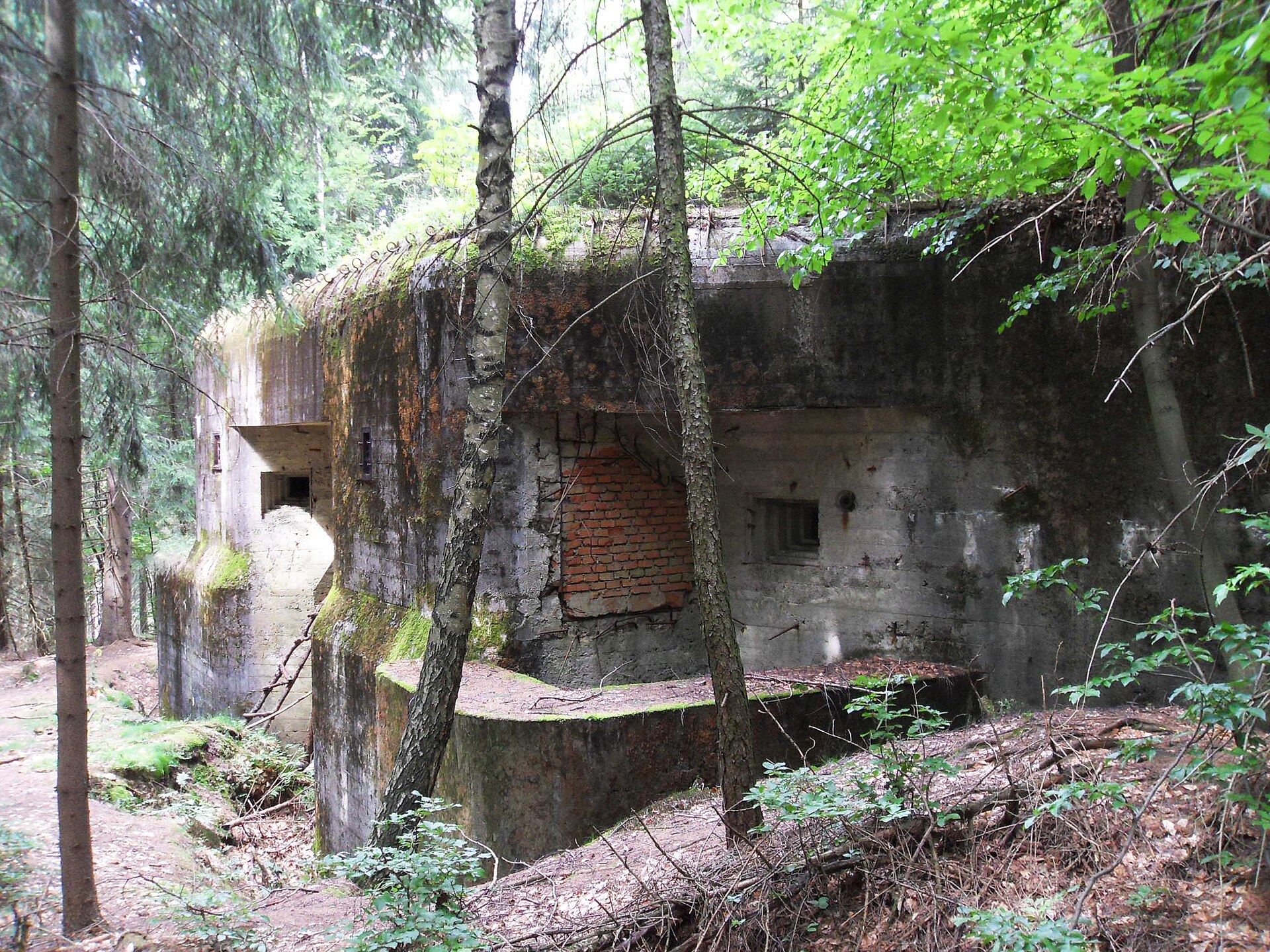 T-S 24 u Chlívců (Stárkov)